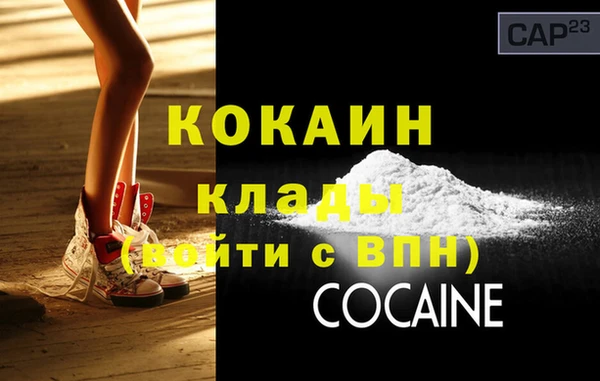 мдпв Каменка