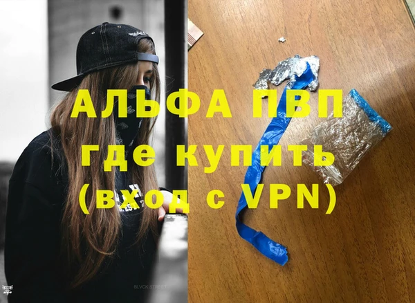 стафф Каменногорск