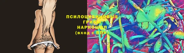 стафф Каменногорск