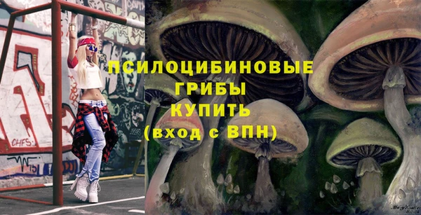стафф Каменногорск