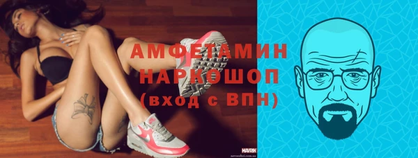 стафф Каменногорск