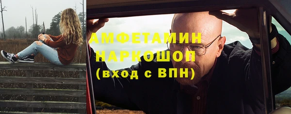 мдпв Каменка
