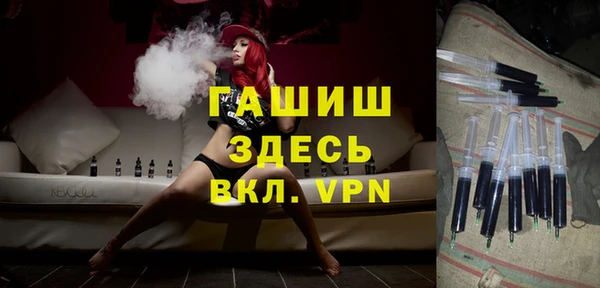 мдпв Каменка