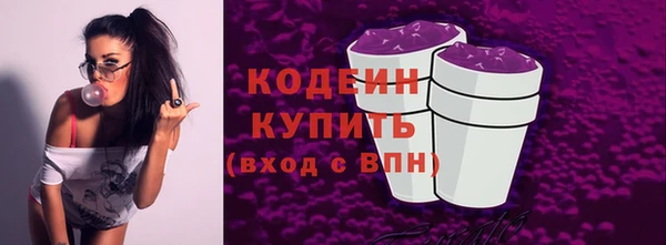 мдпв Каменка