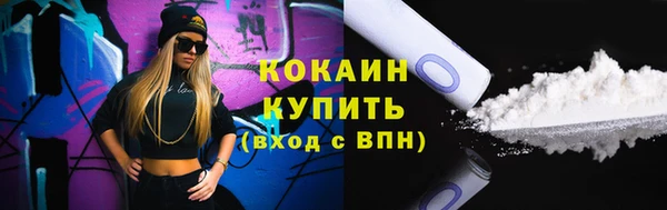 стафф Каменногорск