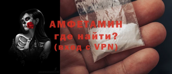 мдпв Каменка
