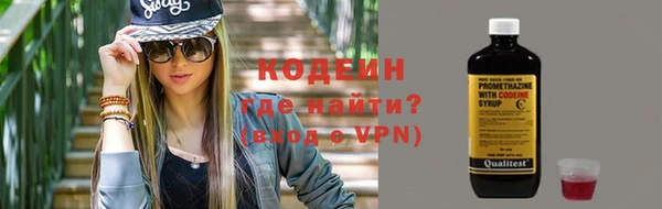 мдпв Каменка