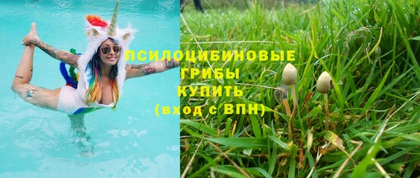 мдпв Каменка