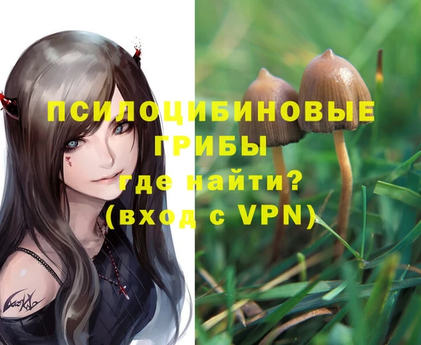 стафф Каменногорск