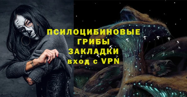 мдпв Каменка