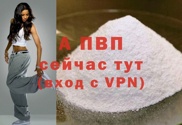 стафф Каменногорск