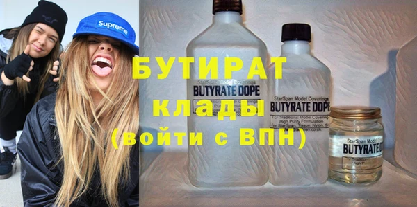мдпв Каменка