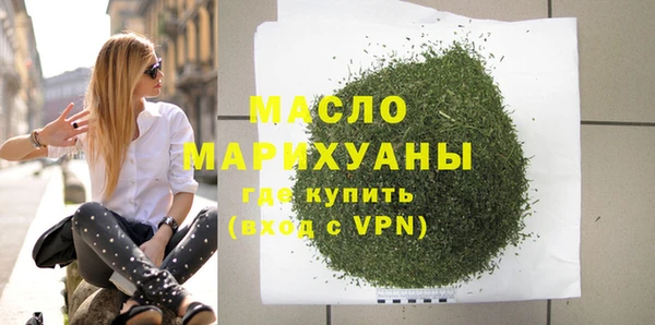 мдпв Каменка