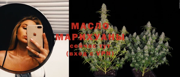 мдпв Каменка