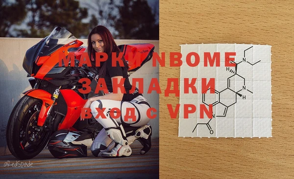 стафф Каменногорск