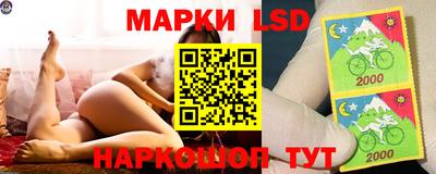прущие грибы Вязьма