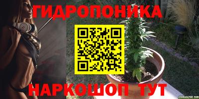 прущие грибы Вязьма