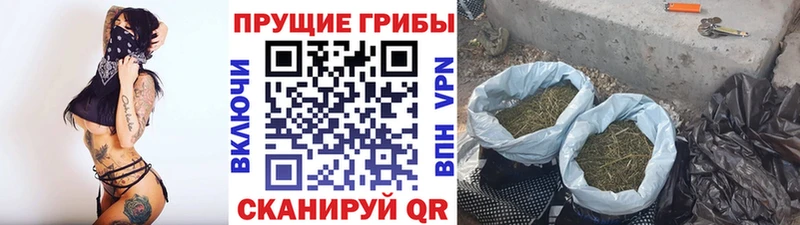 Галлюциногенные грибы MAGIC MUSHROOMS Лиски