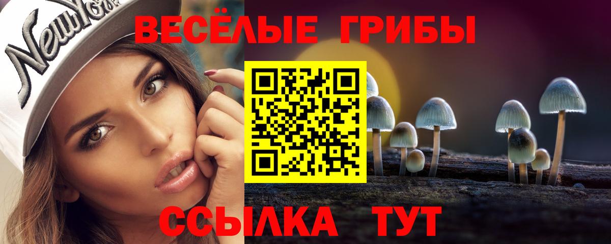 Псилоцибиновые грибы Psilocybe  Вход с VPN  Лиски 